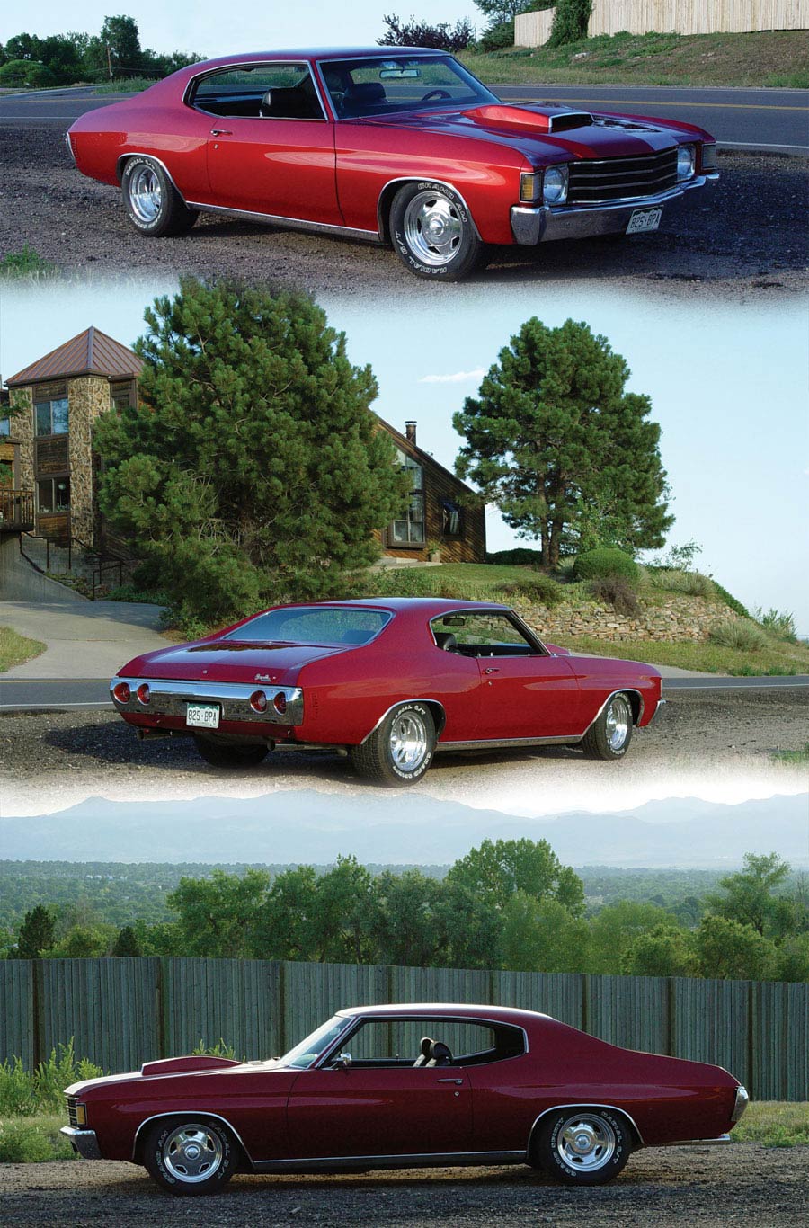 Chevelle Collage