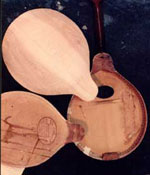 Carved Back for Gibson Mandolin